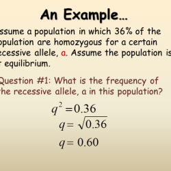 Hardy weinberg practice problems with answer key