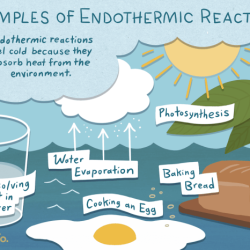 Exothermic endothermic classify process each hint drag appropriate bin help available item part melting freezing evaporation reset sublimation condensation submit