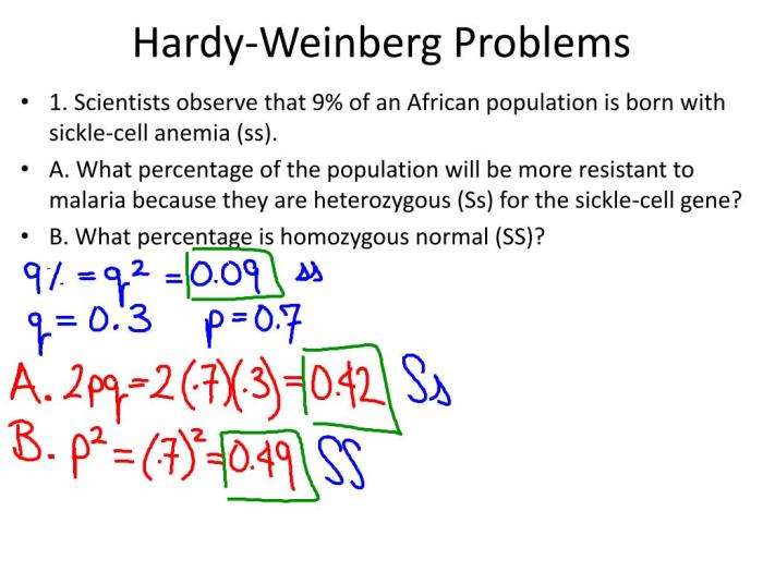 Hardy weinberg practice problems with answer key